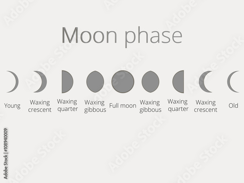 The phases of the moon. The whole cycle from new moon to full. Vector illustration.