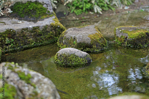 池の飛び石