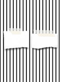 Close-up of two blank ripped paper sheet frames with adhesive tape on black and white striped wallpaper background