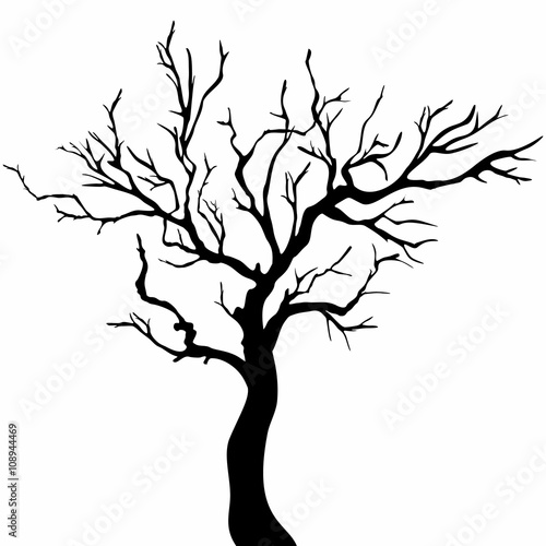 Tree black silhouette isolated on white background