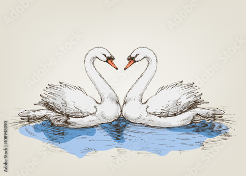 Two swans on lake love symbol