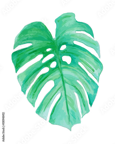 Watercolor drawing, palm trees or green leaves 
