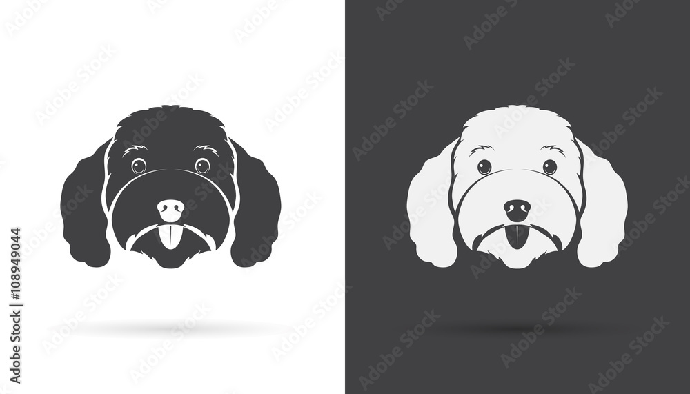 Vector image of an dog poodle face on white background and black Vector image of an dog poodle face on white background and black