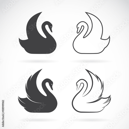 Fototapeta Naklejka Na Ścianę i Meble -  Vector images of swan design on a white background.