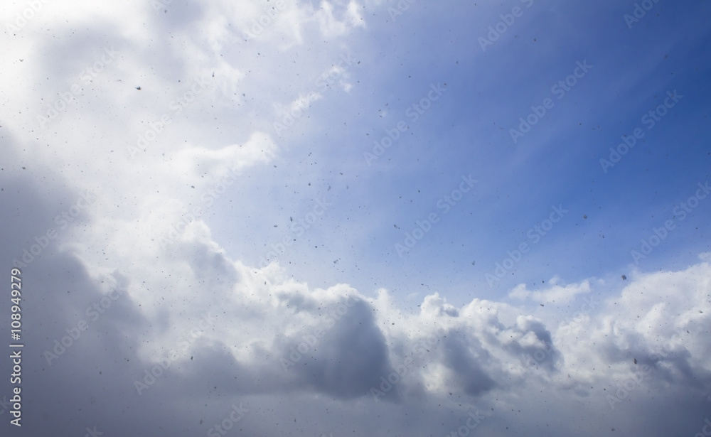 Fototapeta premium Clouds and sky on a sunny day. Nature, background, wallpaper abstraction.