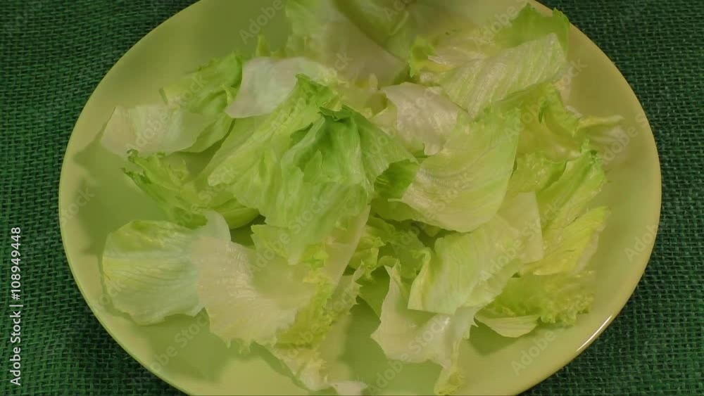Green leaf lettuce on the plate
Green leaf lettuce on the plate