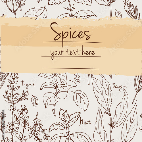 Herbs. Spices. Herb drawn black lines on a white background. Vector illustration. Background with herbs with window for text