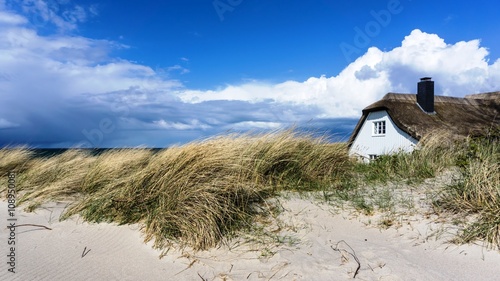 Fototapeta Naklejka Na Ścianę i Meble -  haus in der düne