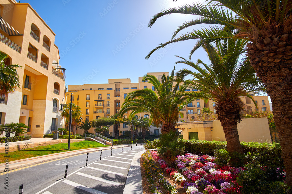 Palm Trees in Portomaso Malta