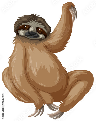 Sloth lifting one arm up
