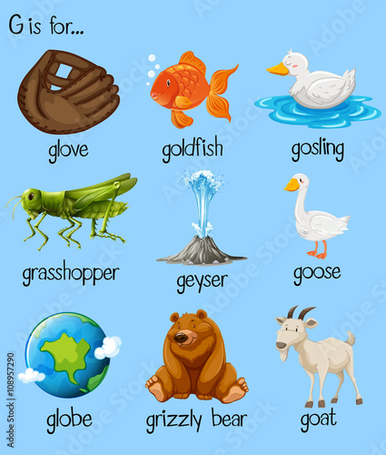 Poster letter g and many words