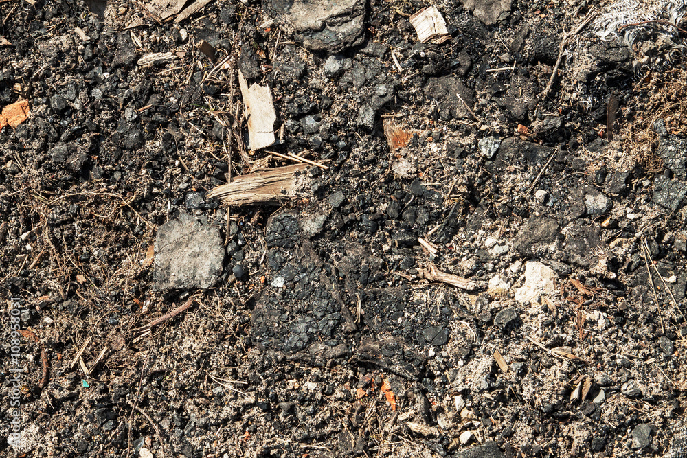 shavings, mud, rocks on the ground. close up.Wooden background shavings, mud, rocks on the ground. close up.Wooden background