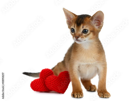 Valentine theme kitten with red heart isolated