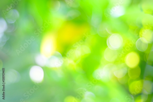 Blur green tree with bokeh light background