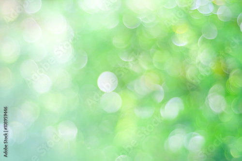 Blur green tree with bokeh light background
