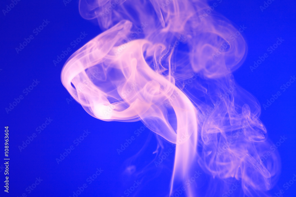 Fototapeta premium Pink Smoke On Blue