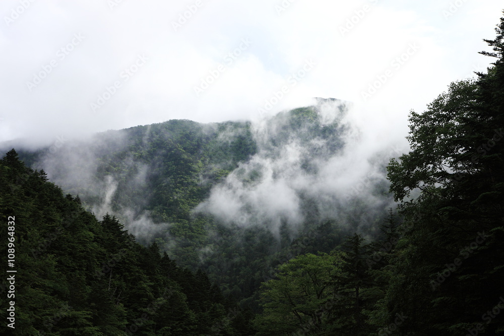 南アルプスの山々（日本）