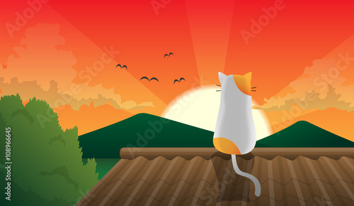 cat sit on the roof and japan sunset