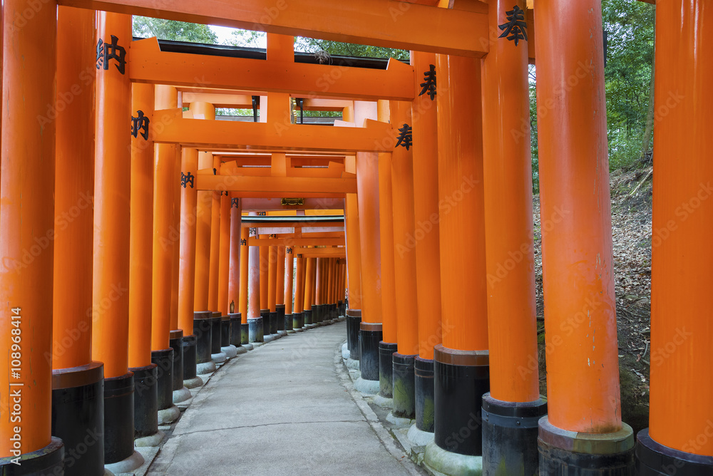 Torii gates in Fushimi Inari Shrine, Kyoto, Japan