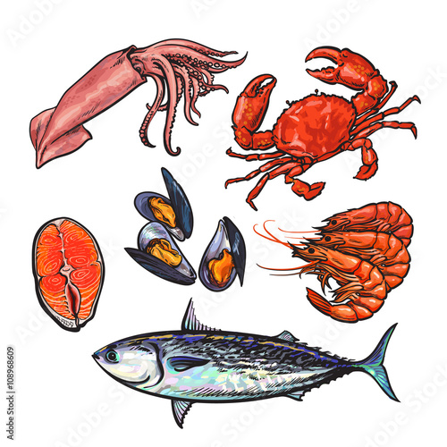 Set of marine products from the sea food, vector set sketch hand-drawn elements, sea fish, crab, shrimp, fish steak, Colmar, mussels isolated on white background food color selection of fresh sea food