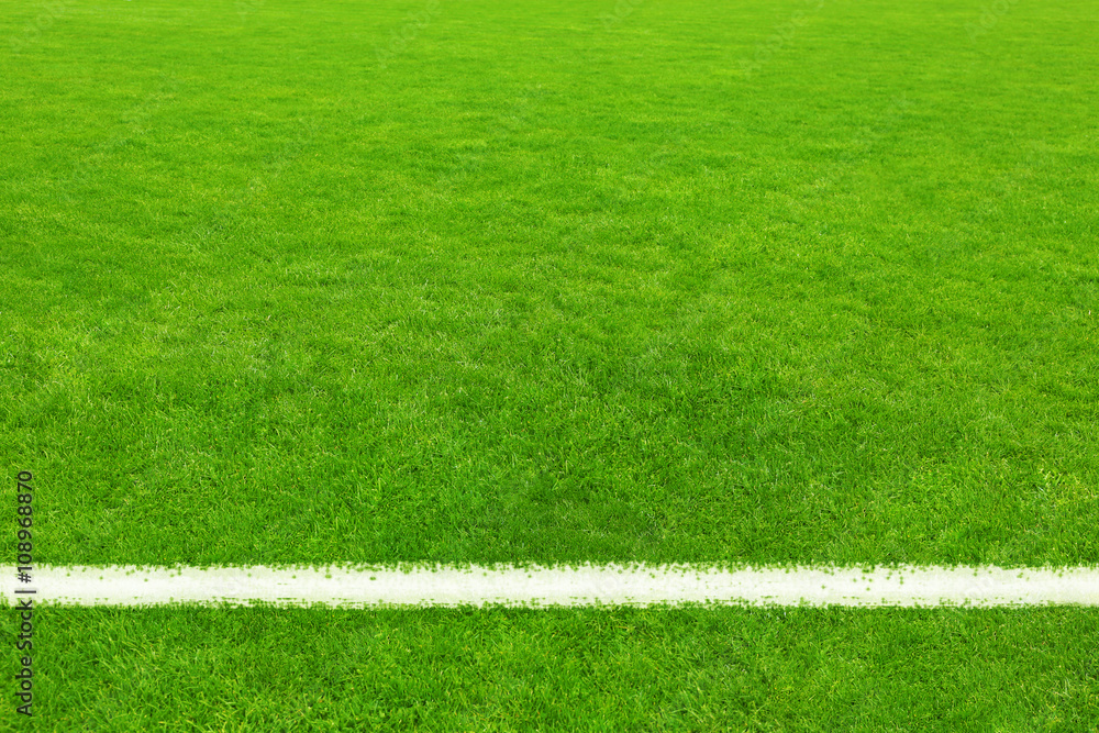 Obraz premium Football field background
