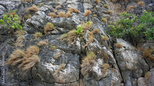 limestonerocks in thailand