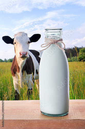 Bottle of milk with cows on the background