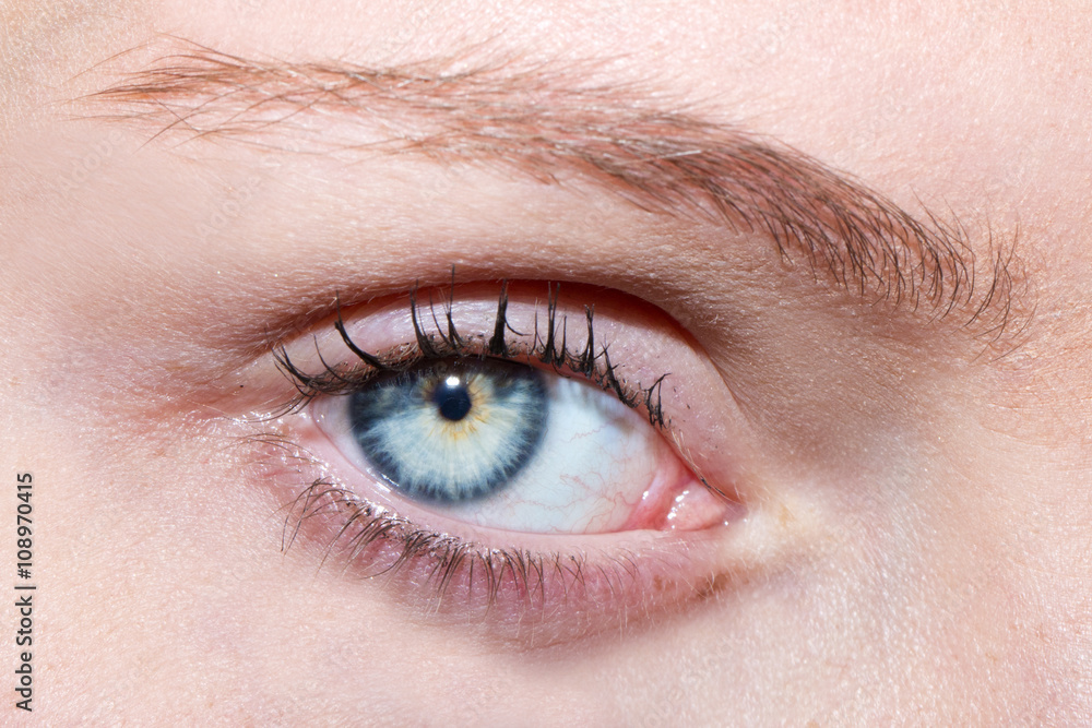 Fototapeta premium Mirada de ojo azul / jara 4468