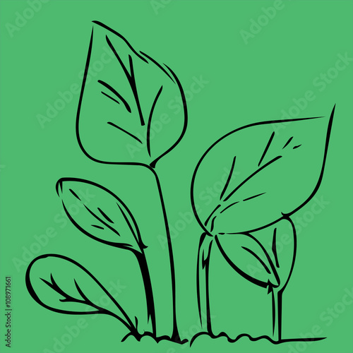 Hand drawing leaf green background EPS10