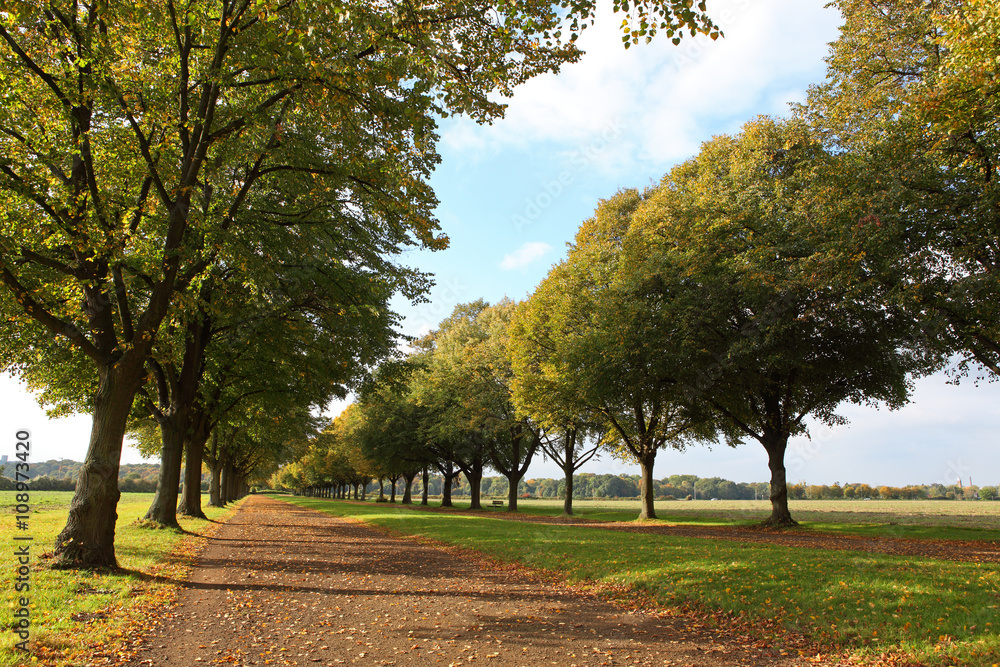 Fototapeta premium Herbst