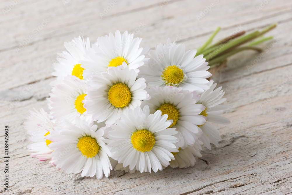 Obraz premium Bouquet of daisies on white wooden background