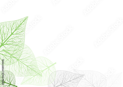 Leaves Background - Leaf Ve...