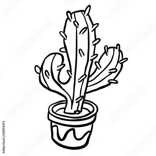 black and white cactus in a pot