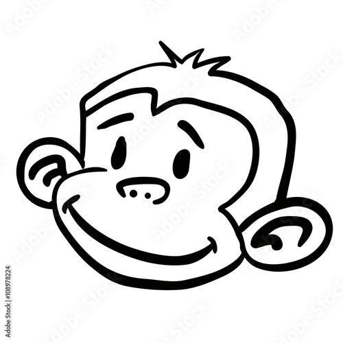 black and white monkey
