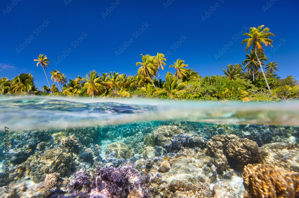 Fototapeta Tropikalna wyspa