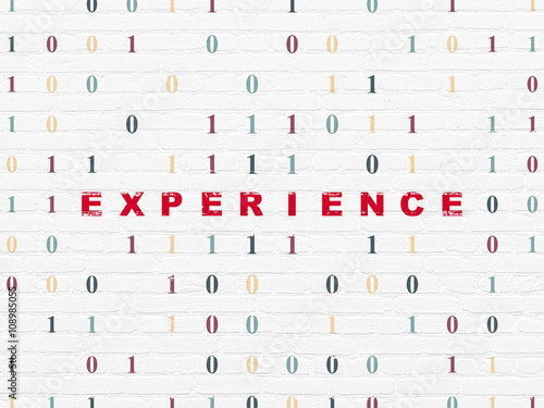 Business concept: Experience on wall background