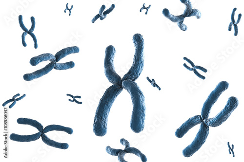 Fototapete blue chromosome on white background