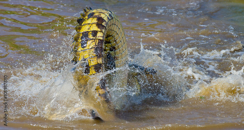 Crocodiles in the river Mara. Kenya. Maasai Mara. Africa. An excellent illustration.