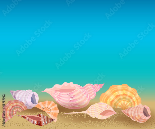 Underwater landscape with shells. The ocean floor with sand.