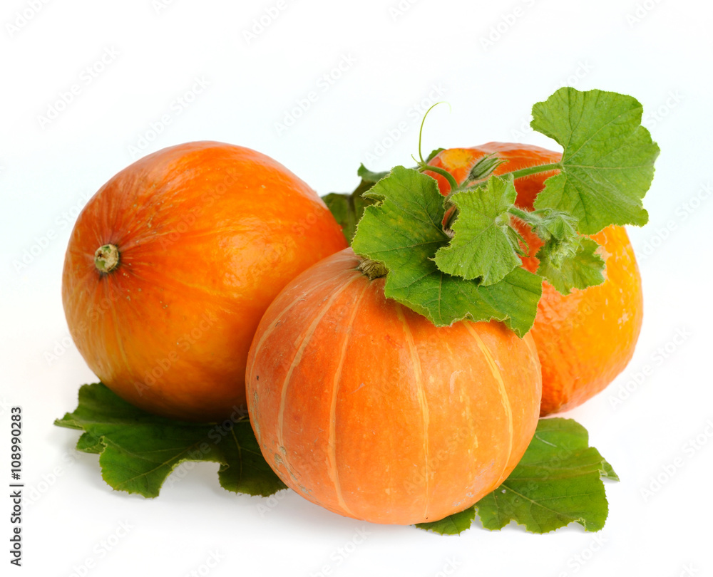 yellow pumpkins vegetables with green leaves isolated