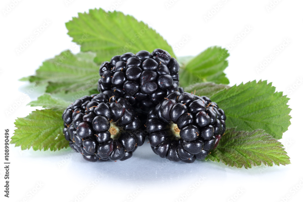 Brombeere Brombeeren Beeren Beere Frucht mit Blätter Freistelle Stock ...