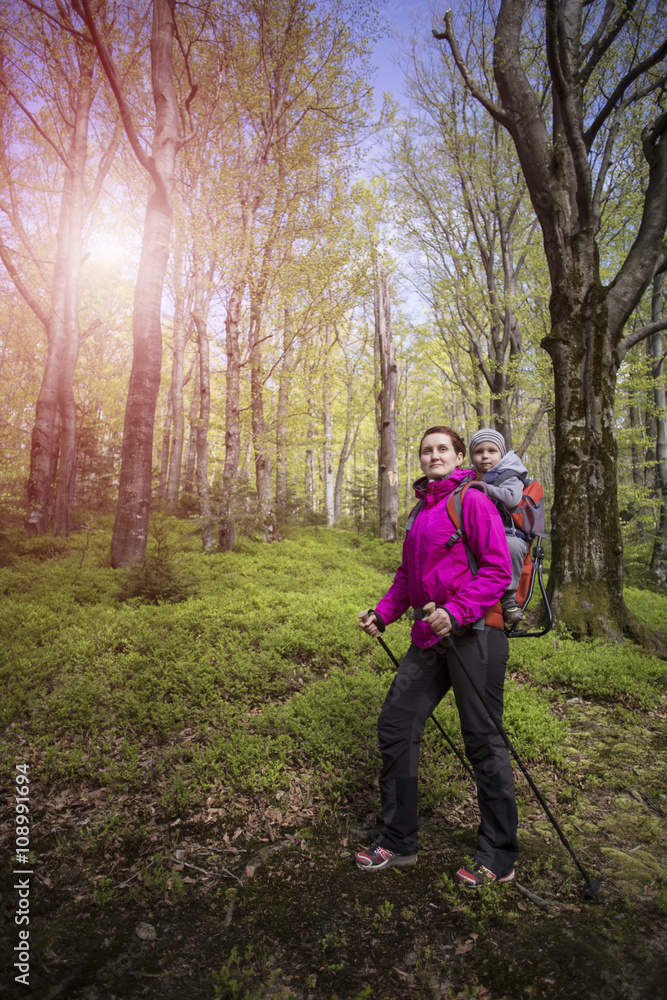 Fototapeta premium Mom walks in the forest with a child, a child in the children carry.