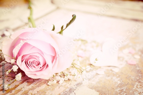 Slika na platnu rosa Rose mit Herz - Nostalgisch - Glückwunschkarte