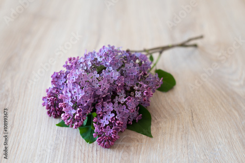 Lilac flower on a wooden background