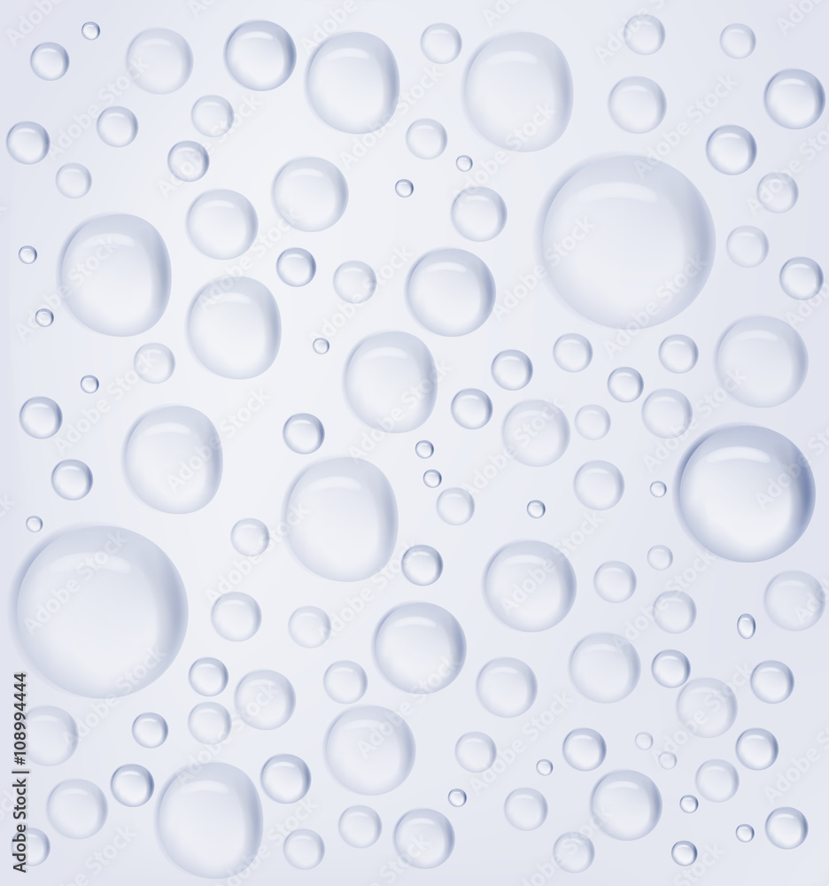 Water drops. Realistic vector illustration.