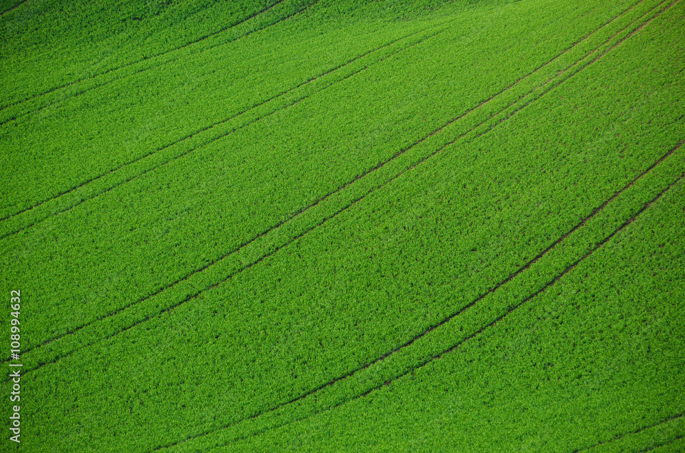 Green grass fields suitable for backgrounds or wallpapers, natural seasonal landscape. Southern Moravia, Czech republic Green grass fields suitable for backgrounds or wallpapers, natural seasonal landscape. Southern Moravia, Czech republic