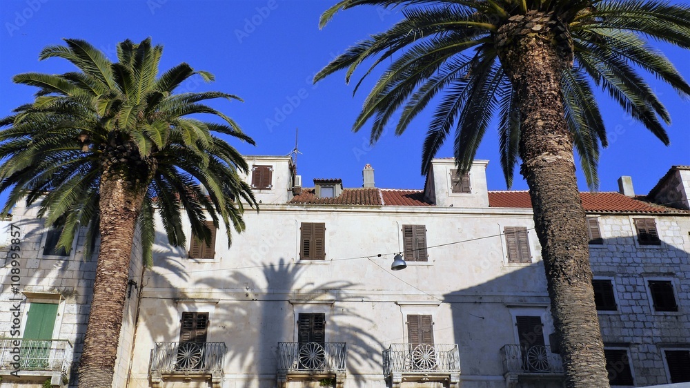 old house of stone and palm trees