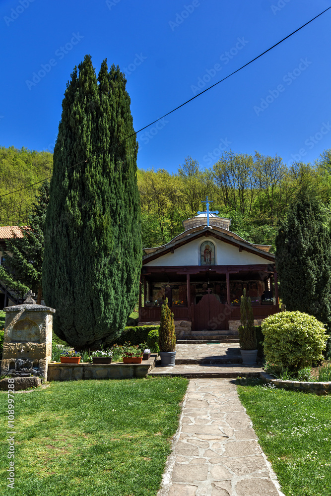 Fototapeta premium Church of Temski monastery St. George, Pirot Region, Republic of Serbia