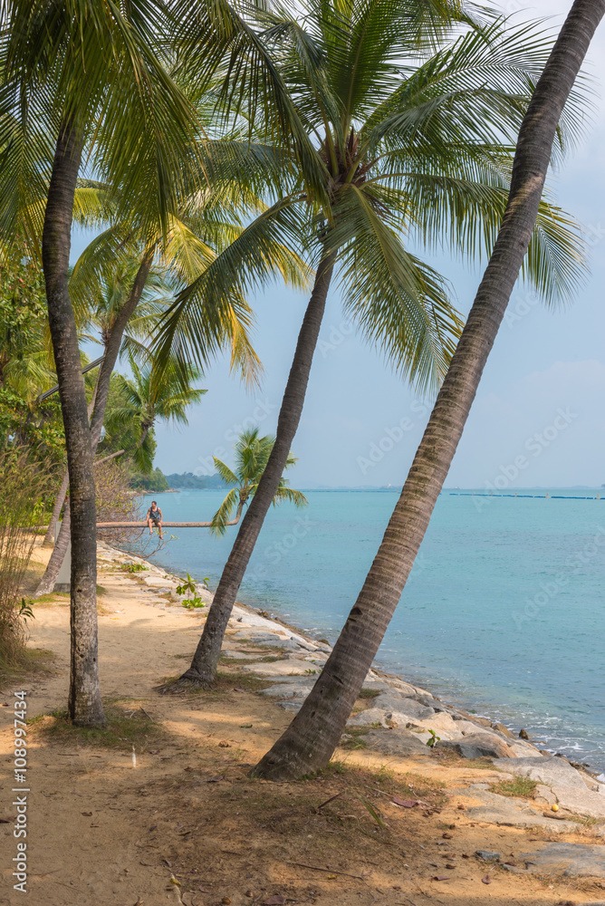 Fototapeta premium Santosa