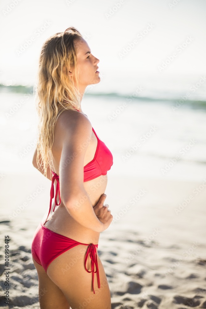 Pretty woman in bikini standing on the beach Pretty woman in bikini standing on the beach